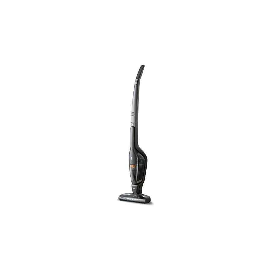 ERG24C Brush Roll Clean