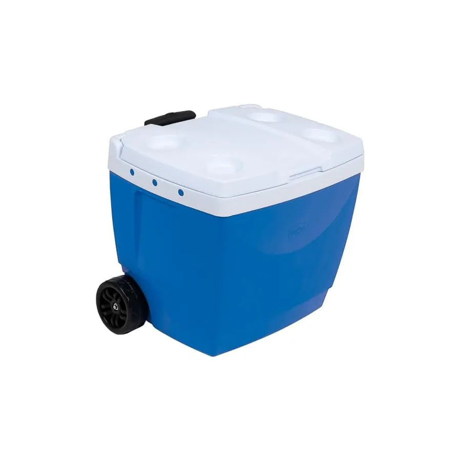 Cooler com Rodinha Mor 25108221, imagem 3