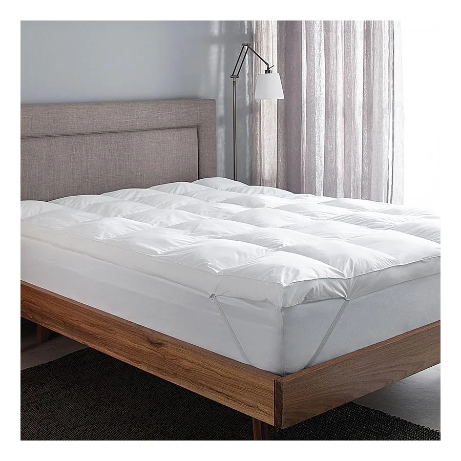 Pillow Top Buddemeyer Vision Fill Queen