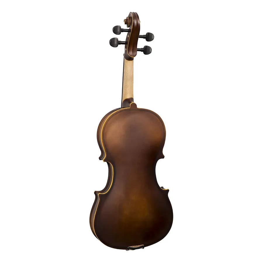 Arco e estojo do Violino Dominante 9650